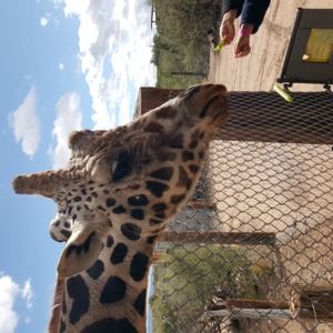 Meet your Posher, Maribel